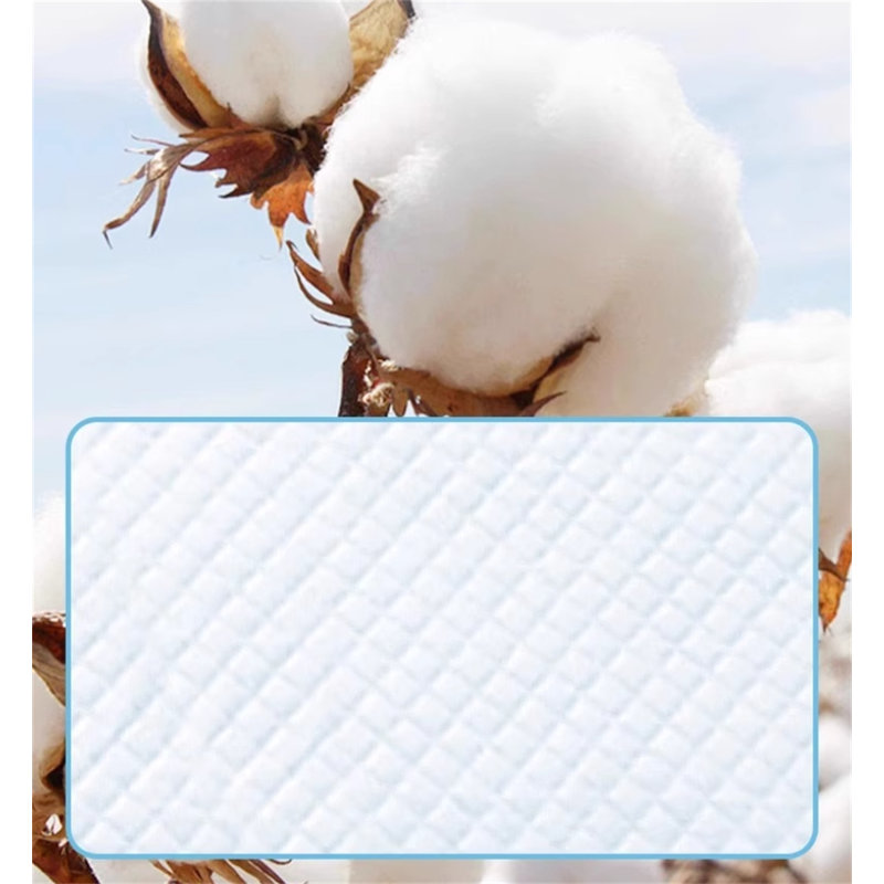 Tapis pour chien (ensemble de 50)
