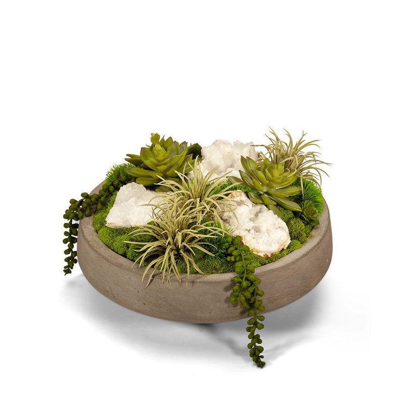 Plant in Concrete Decorative Vase, Quartz