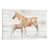 Toile tendue