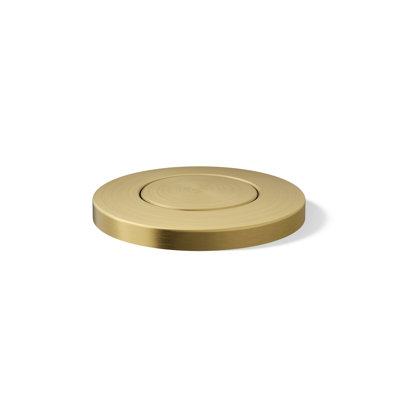 Garbage Disposal Air Switch Button