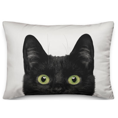  Cat Eyes Lumbar Pillow