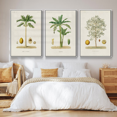 Arbre antique avec fruit II - ensemble de 3 reproductions de photos sur toile