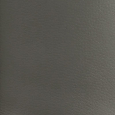 Gray Top Grain Leather Sample