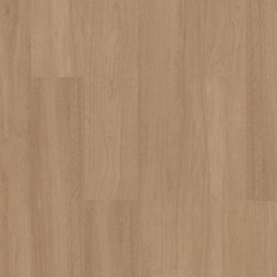 Plancher en vinyle imperméable Shaw Terreno T 8 mm x l 7 po x L 48 po