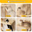 Scratching Post