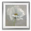 " Daisy Detail III "-33348845-35559943