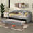 Upholstered Daybed With Trundle, Twin Size-365051315