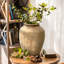 Grand vase en terre cuite-118537749