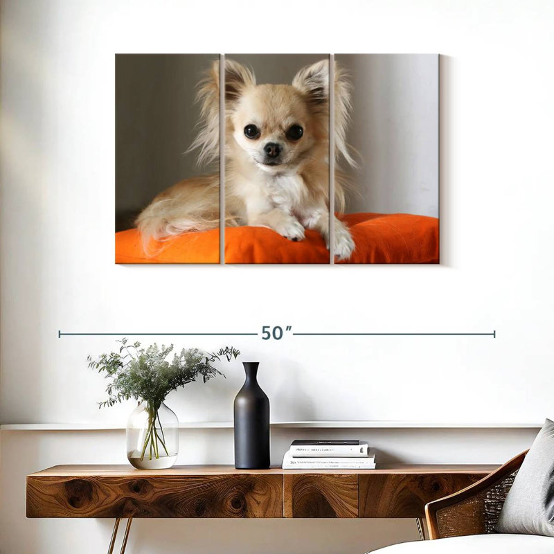 Chihuahua On Pillow, 24" H x 38" W