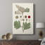 Feuilles et baies IV - galerie Cavas sur mesure-1955321282