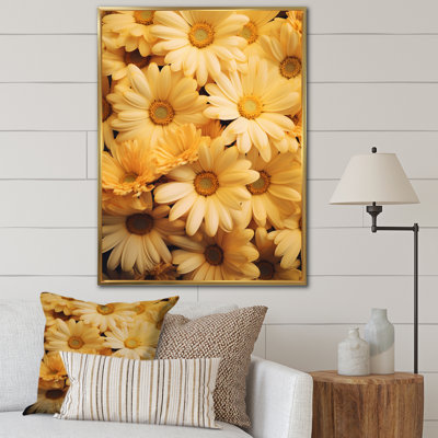 " Daisies Golden Daisies "