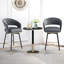 Tabouret de bar rotatif 29,5 po Roellig-1831422212