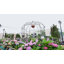 Pavillon de jardin style Scendor 9 pi de haut x 6,8 pi de large
