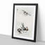 Three Swallows by Numata Kashu - Framed Print-55769243-55769244