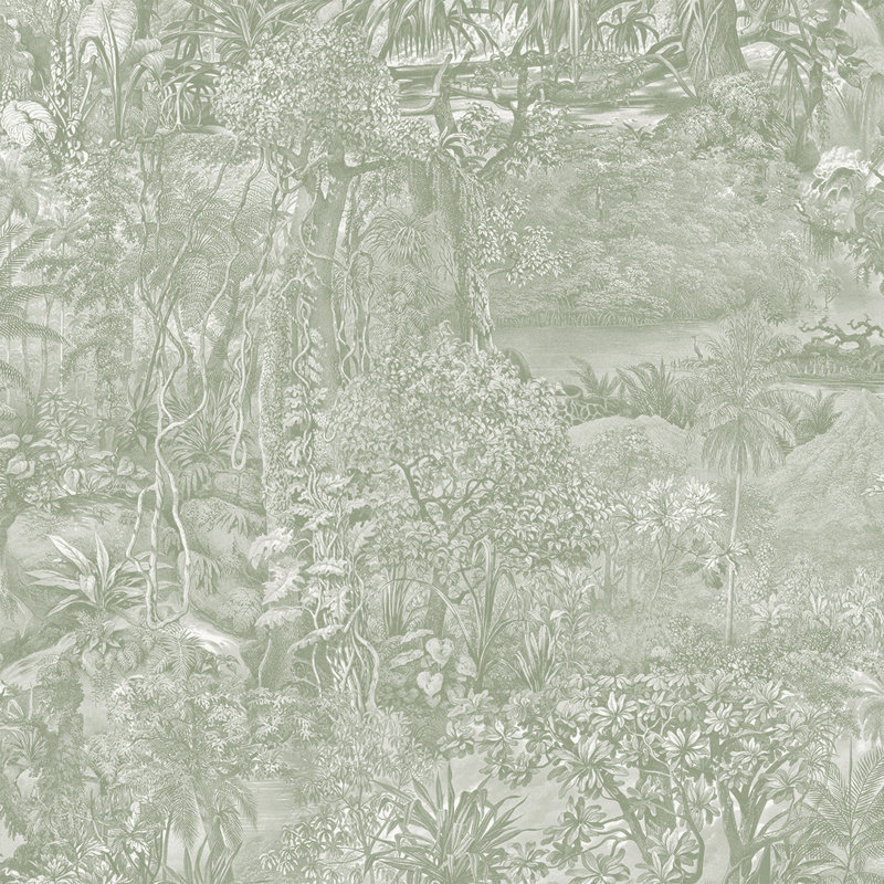 Akikazu 16.5' L x 20.5" W Peel and Stick Wallpaper Roll, 16.5" L x 20.5" W, Moss Green Toile