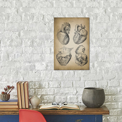 Patent Print Store Heart Anatomy by PatentPrintStore - Wrapped Canvas Gallery-Wrapped Canvas Giclée