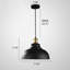 Luminaire suspendu en forme de dôme noir à 1 lumière Roff