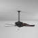 52" Supra 5 - Blade Standard Ceiling Fan with Pull Chain