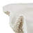 Cole And Grey Polystone Large Textured Shell Decorative White Sculpture