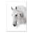 " Horse "
