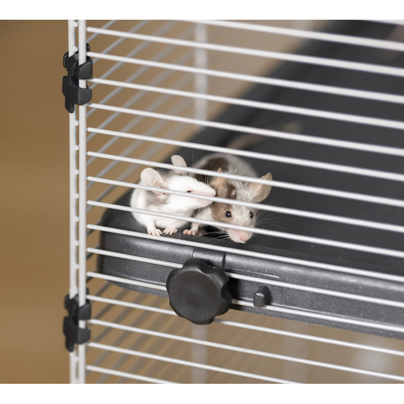 Cage pour petits animaux Drabeck, Noir