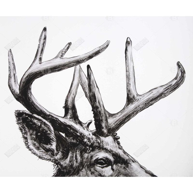 Roe Deer Plume - Art encadré sur toile pour la décoration intérieure