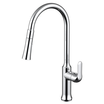 Daweier Pull Out Kitchen Faucet