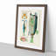 East Indies Fish & Crab Illustrations XXVII by Louis Renard - Picture Frame Painting Print-55547140-55547143