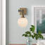 Hallas 1-Light Dimmable Swing Arm Sconce