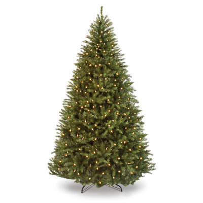 Douglas Frosted 6' Pre-Lit Fir Christmas Tree