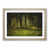 Oak Framed