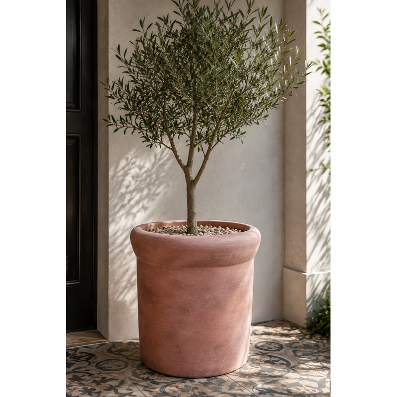 Clay Planter