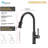 OAKLAND Pull Down Kitchen Faucet-70555316