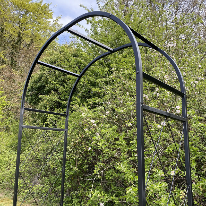 Ahnah 112cm W x 45cm D Metal Arbour with Gate in Black