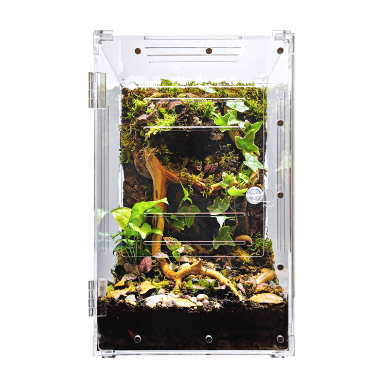 Acrylic Reptile Terrarium, 7 Gallon - 16"H x 10"W x 10"D