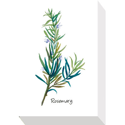 Herb Study III - Print