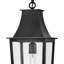 Hinkley Georgetown Hanging Lantern-346495688