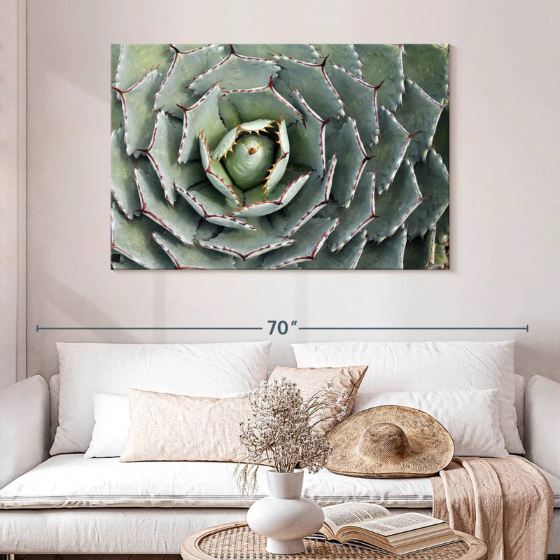 Harnek Thorny Succulent