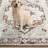 Amareona Oriental Machine Washable Ivory/Red Area Rug-1012002756