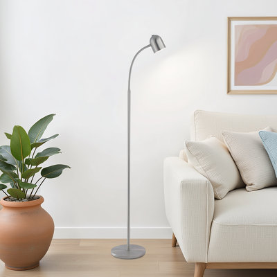 Girardi 51'' LED Task Floor Lamp