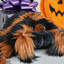  Plush Giant Tarantula Pillow - Black/Brown