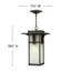 Manhattan 1-Light Outdoor Hanging Lantern-917570286