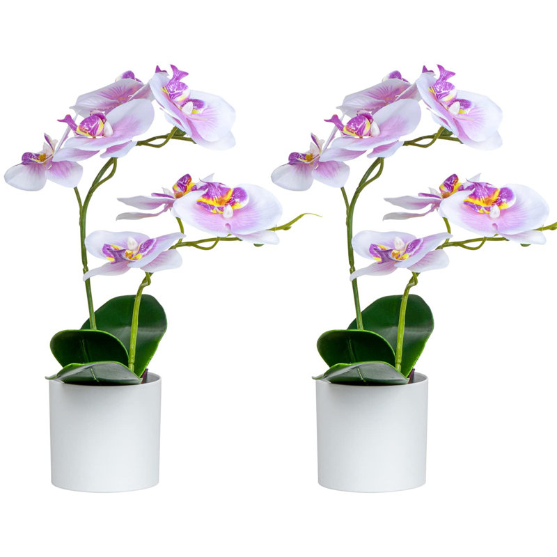 Arrangement in Vase