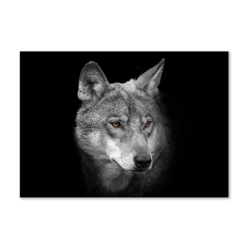 Wolf - Wrapped Canvas Print