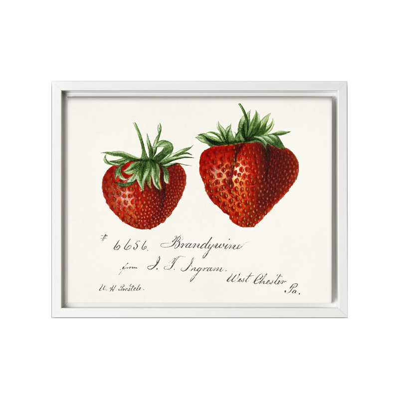 Fraises, 24"H x 32"W, Canvas, White Framed
