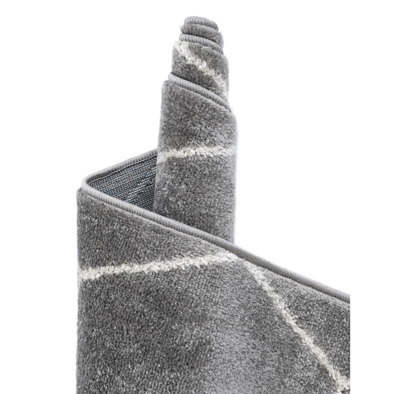 Tapis gris clair Debrodie, Gris clair, Tapis de couloir 3 pi 3 po x 16 pi 5 po