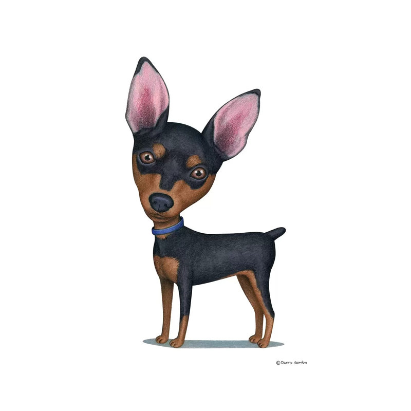 Pinscher miniature, H 26 po x l 18 po x 1,5 po