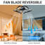 Dalayshia Indoor Bedroom Flush Mount Ceiling Fan with Light-665348492