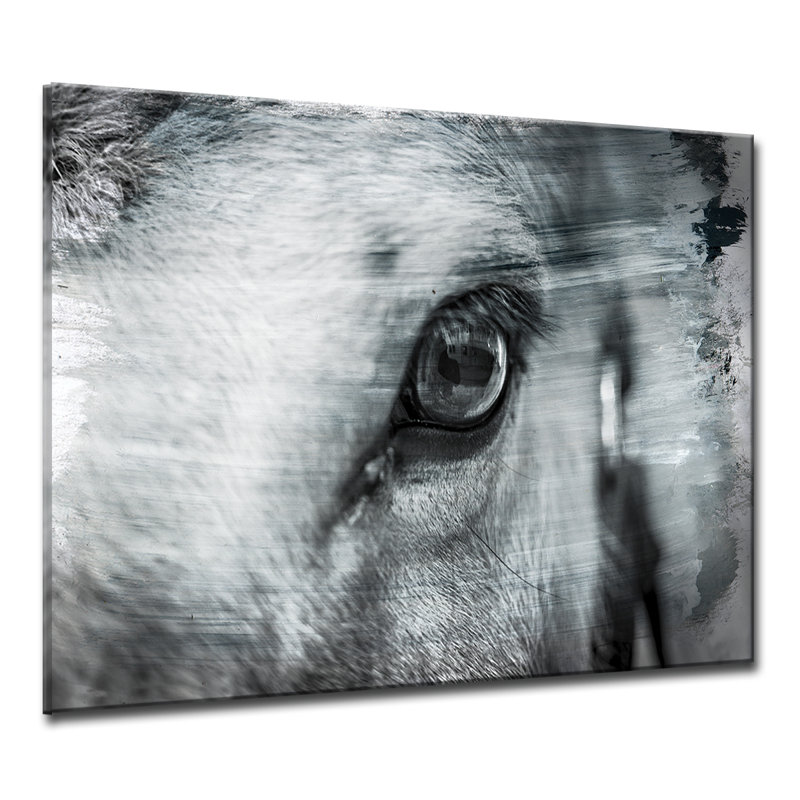 Équitation équestre, impression sur toile tendue, H 12 po x l 16 po x P 1,5 po