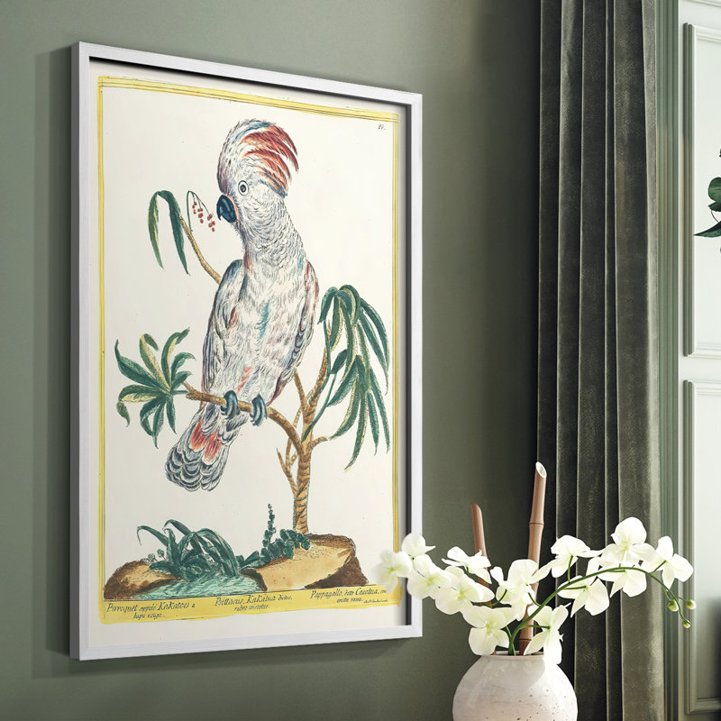 «Pastel Birds II», reproduction encadrée - bois massif, H 28 po x l 22 po, Blanc